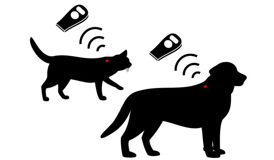 pet microchipping